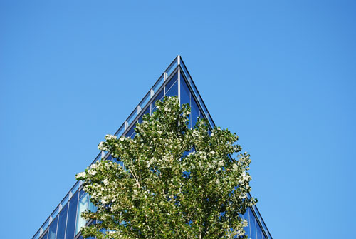 Geometrie der Architektur